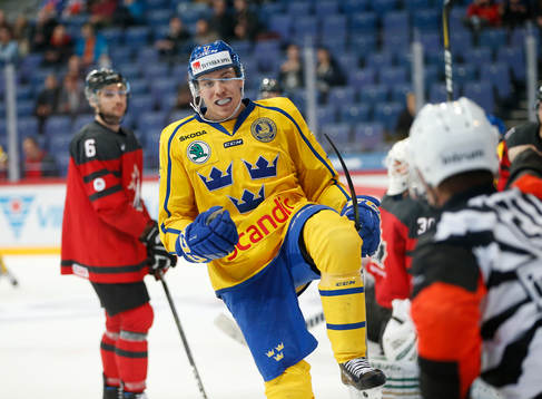 Pär Lindholm #17, Sweden celebrating  goal