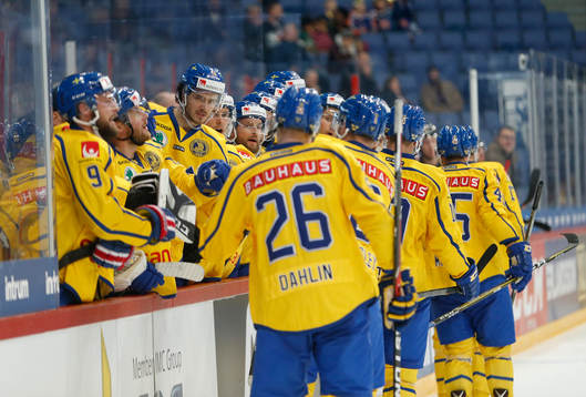 Sweden celebrating  goal