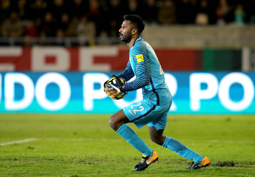 Bläddra bland fler bilder av Fotboll, Inför VM 2018, Saudiarabien