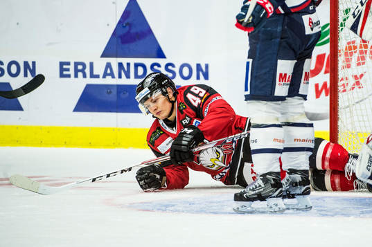 Malmö Redhawks Rhett Rakhshani deppar på isen