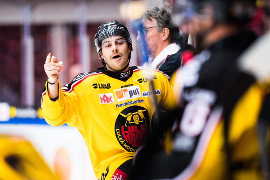 Luleås Ryan Johnston