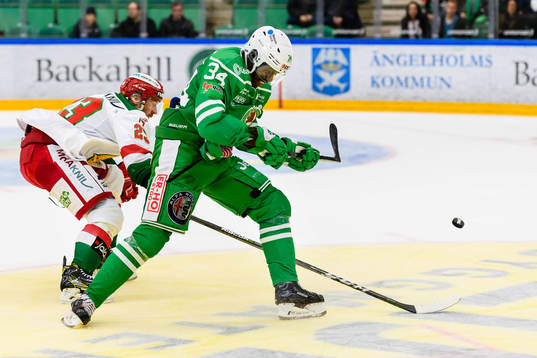 Moras Tomas Skogs