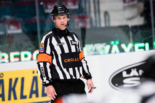 Domare Mikael Nord