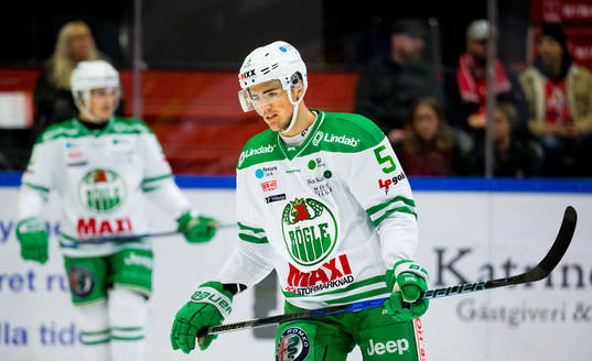 Rögles Alen Bibic deppar