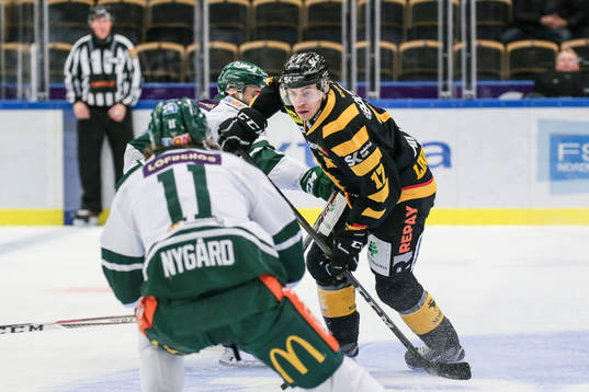 Skellefteås Pär Lindholm