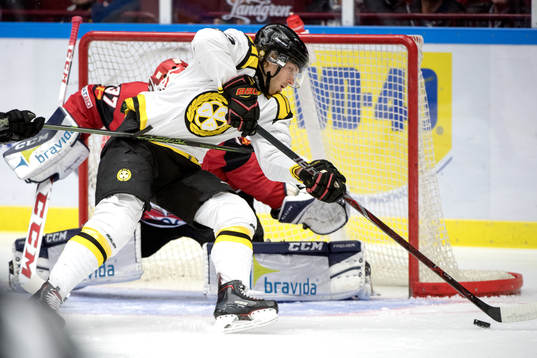 Brynäs Christopher Liljewall oroar