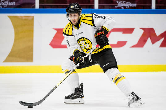 Brynäs Aaron Palushaj