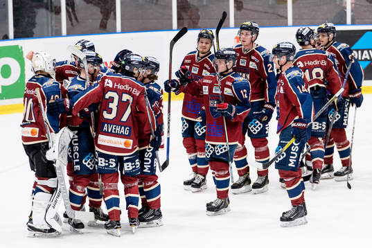 Halmstads spelare jublar
