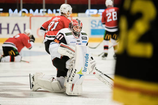 Malmö Redhawks målvakt Anton Malmborg före