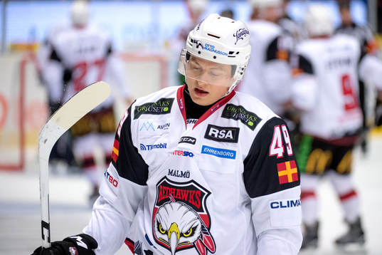 Malmö Redhawks Rhett Rakhshani deppar