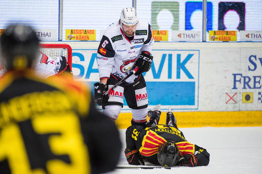 Malmö Redhawks Stefan Warg