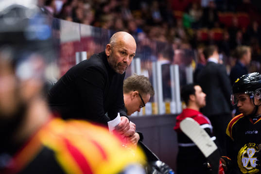 Brynäs tränare Tommy Sjödin