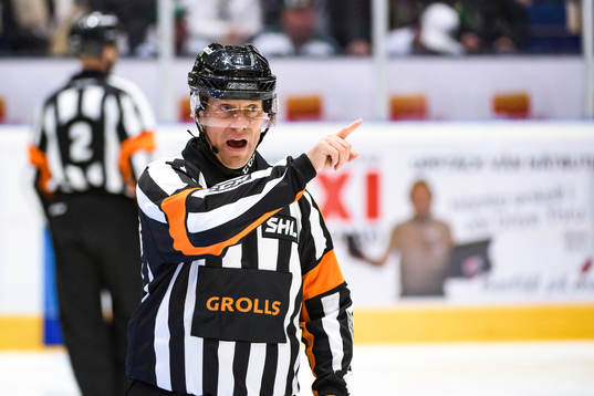 Domare Sören Persson