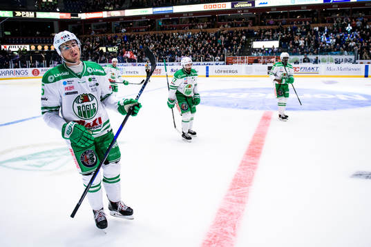 Rögles Alen Bibic deppar