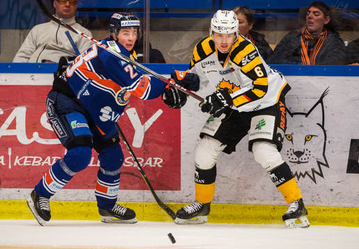 Växjös Nils Carnbäck och Skellefteås Filip Berglund