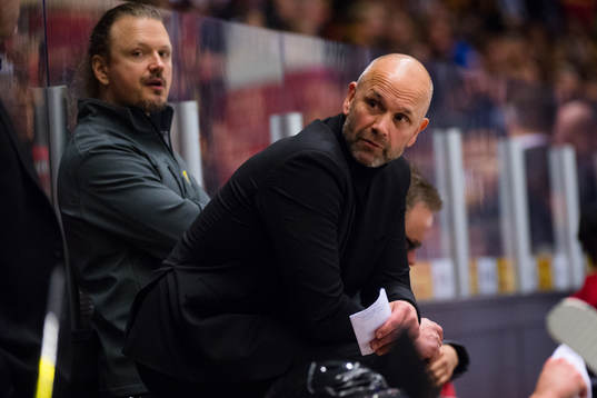 Brynäs tränare Tommy Sjödin