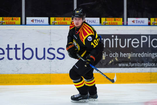 Brynäs Marcus Ersson