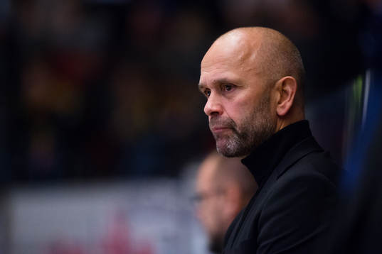 Brynäs tränare Tommy Sjödin