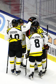 Brynäs spelare jublar