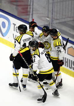 Brynäs spelare jublar
