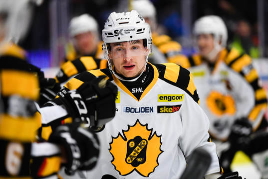 Skellefteås Adam Pettersson jublar