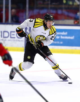 Brynäs Lucas Carlsson