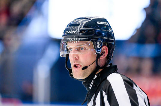 Domare Mikael Nord
