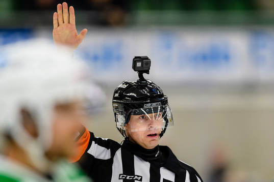 Domare Mikael Andersson
