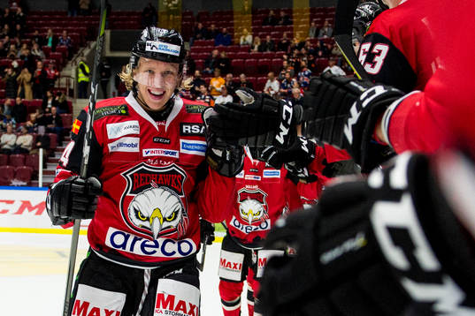 Malmö Redhawks Marcus Sylvegård jublar med lagkamraterna
