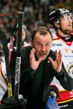 Luleås tränare Thomas Berglund