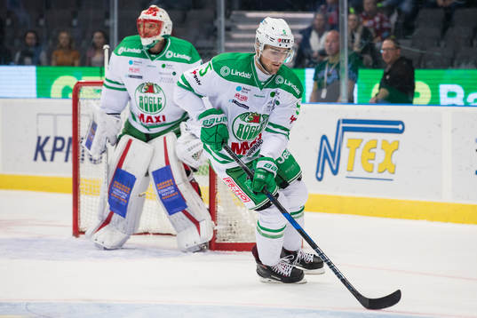 Rögles Alen Bibic