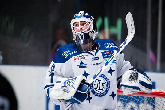 Leksands målvakt Tex Williamsson