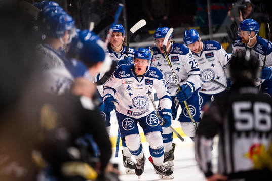 Leksands Daniel Bertov jublar