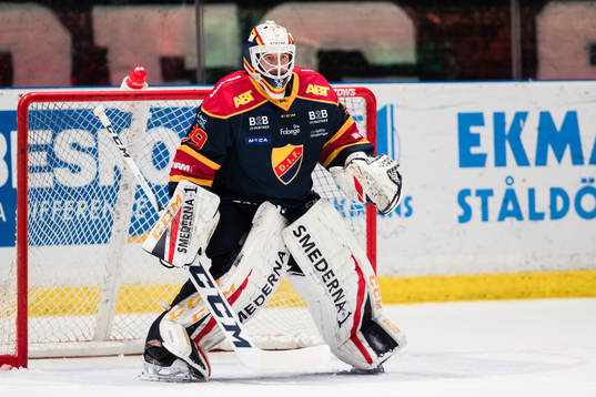 Djurgårdens målvakt Adam Reideborn