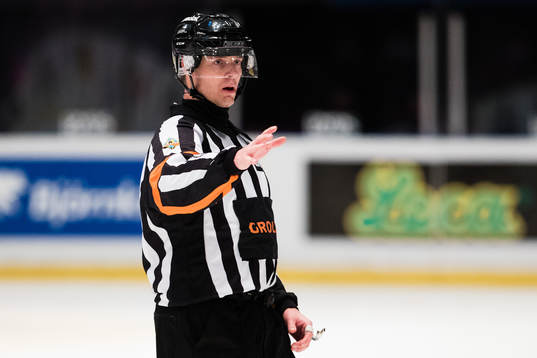 Domare Mikael Andersson
