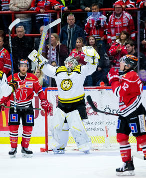 Brynäs målvakt David Rautio jublar vid slutsignalen
