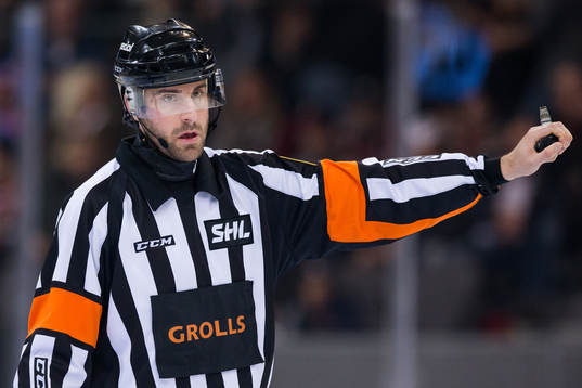 Domare Mikael Sjöqvist
