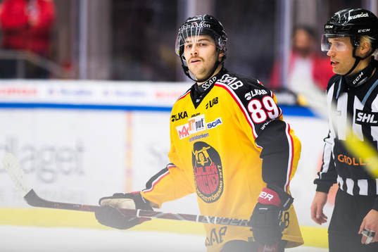 Luleås Ryan Johnston