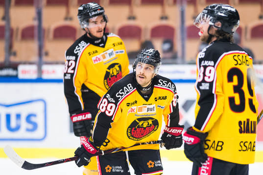 Luleås Ryan Johnston
