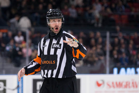Domare Mikael Sjöqvist