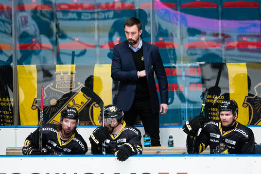 s assisterande tränare David Engblom