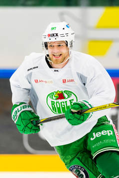 Rögles Ted Brithén