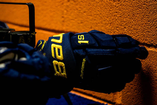 s före ishockeymatchen i SHL mellan Växjö och HV71