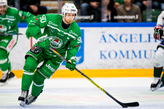 Rögles Ted Brithén