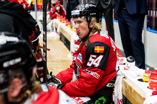 Malmö Redhawks Marcus Sylvegård deppar