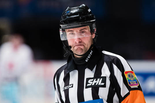Domare Mikael Sjöqvist