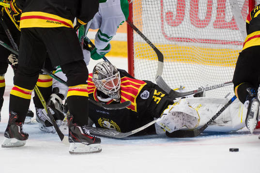 Brynäs målvakt David Rautio