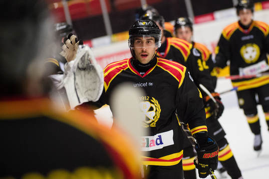 Brynäs Aaron Palushaj jublar