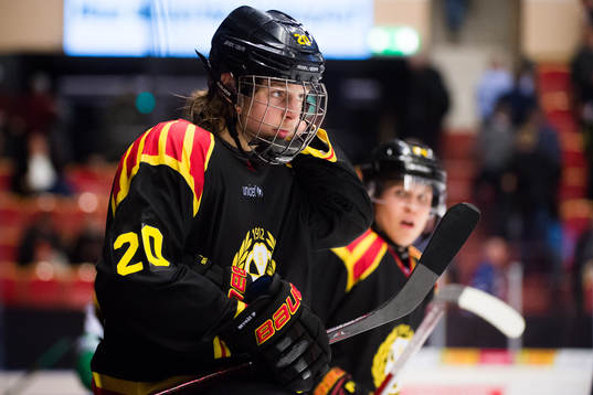 Brynäs Marcus Westfält