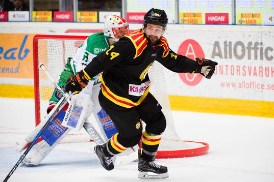 Brynäs Johan Alcén